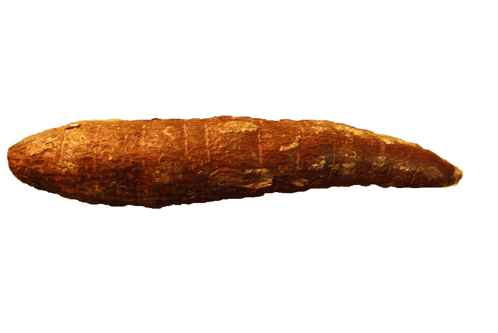 Lizano Yuca